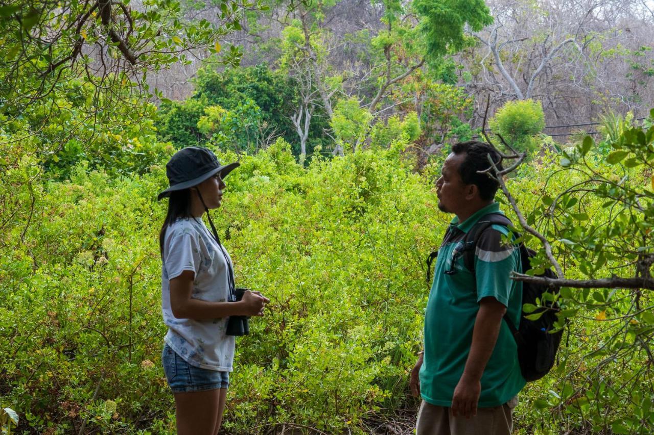 Made Taro - Menjangan Homestay Banyuwedang Esterno foto